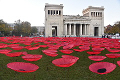 Never Again - 3.000 Mohnblumen auf dem Knigsplatz