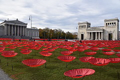 Never Again - 3.000 Mohnblumen auf dem Königsplatz Never Again - 3.000 Mohnblumen auf dem Königsplatz