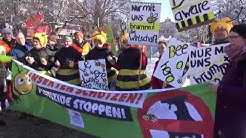 Bienenstreik zur aktuellen Stunde - Volksbegehren Artenvielfalt Maxmonument Mnchen am 05.02.2019